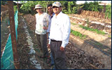 Benefits in Agriculture