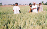 Benefits in Agriculture