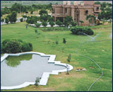 Benefits in Gardens