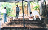 Business Development